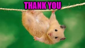 THANK YOU | made w/ Imgflip meme maker
