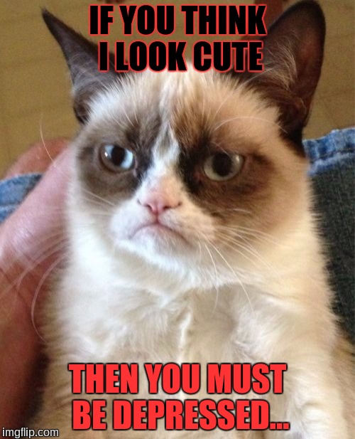 Grumpy Cat Meme | IF YOU THINK I LOOK CUTE; THEN YOU MUST BE DEPRESSED... | image tagged in memes,grumpy cat | made w/ Imgflip meme maker