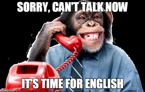 Monkey on phone | SORRY, CAN'T TALK NOW; IT'S TIME FOR ENGLISH | image tagged in monkey on phone | made w/ Imgflip meme maker