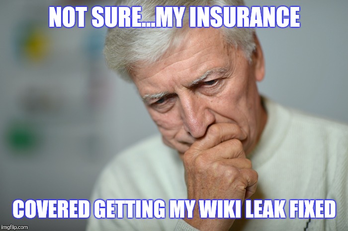 NOT SURE...MY INSURANCE COVERED GETTING MY WIKI LEAK FIXED | made w/ Imgflip meme maker