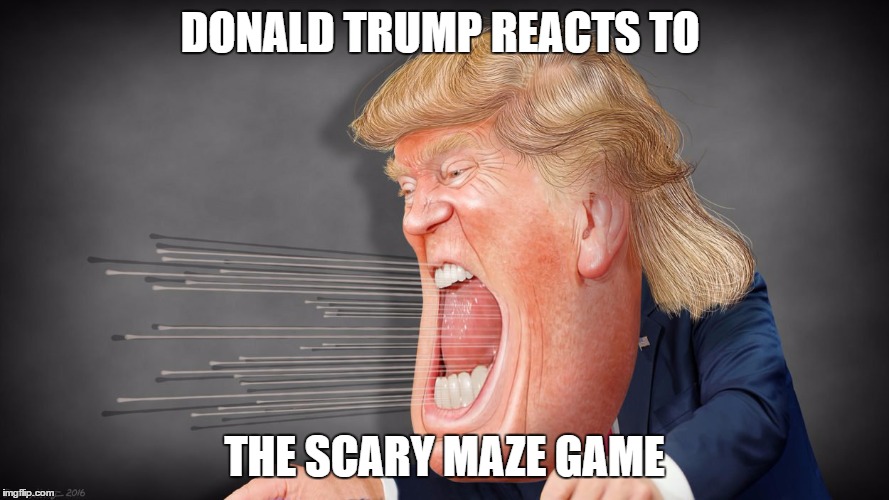 DONALD TRUMP REACTS TO; THE SCARY MAZE GAME | image tagged in trump,awesome,funny,mems | made w/ Imgflip meme maker