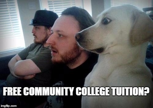 FREE COMMUNITY COLLEGE TUITION? | image tagged in college,dog | made w/ Imgflip meme maker