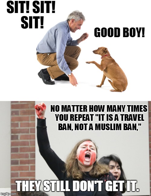 Easier to Train a Dog | SIT! SIT! SIT! GOOD BOY! NO MATTER HOW MANY TIMES YOU REPEAT "IT IS A TRAVEL BAN, NOT A MUSLIM BAN,"; THEY STILL DON'T GET IT. | image tagged in training,liberals | made w/ Imgflip meme maker