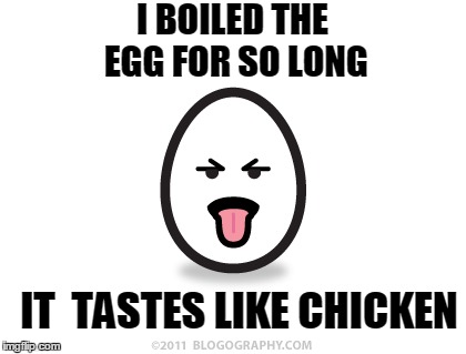 true story | I BOILED THE EGG FOR SO LONG; IT  TASTES LIKE CHICKEN | image tagged in egg,meme,funny,egg or chicken,true story | made w/ Imgflip meme maker