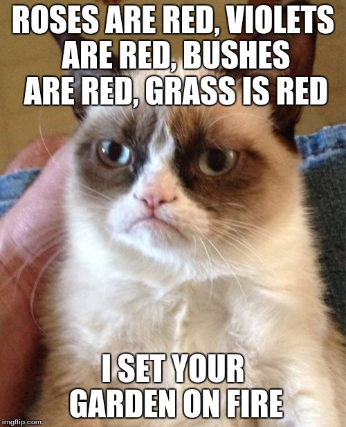 Grumpy Cat | ROSES ARE RED, VIOLETS ARE RED, BUSHES ARE RED, GRASS IS RED; I SET YOUR GARDEN ON FIRE | image tagged in memes,grumpy cat | made w/ Imgflip meme maker