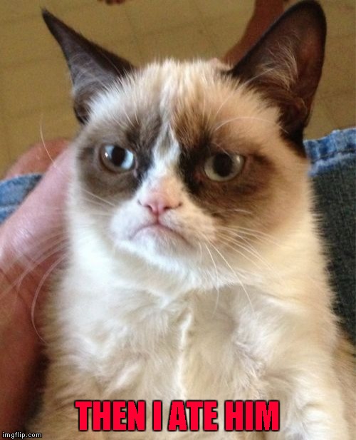 Grumpy Cat Meme | THEN I ATE HIM | image tagged in memes,grumpy cat | made w/ Imgflip meme maker