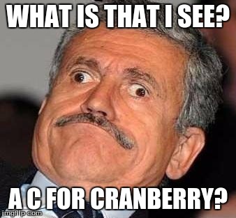 Nerp Derp  | WHAT IS THAT I SEE? A C FOR CRANBERRY? | image tagged in nerp derp | made w/ Imgflip meme maker