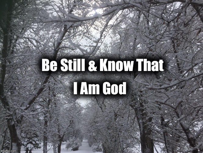  I Am God; Be Still & Know That | image tagged in snow on trees | made w/ Imgflip meme maker