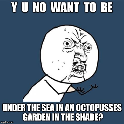 Y U No Meme | Y  U  NO  WANT  TO  BE UNDER THE SEA IN AN OCTOPUSSES GARDEN IN THE SHADE? | image tagged in memes,y u no | made w/ Imgflip meme maker