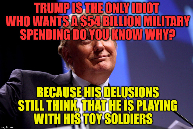 Donald Trump | TRUMP IS THE ONLY IDIOT WHO WANTS A $54 BILLION MILITARY SPENDING DO YOU KNOW WHY? BECAUSE HIS DELUSIONS STILL THINK, THAT HE IS PLAYING WITH HIS TOY SOLDIERS | image tagged in donald trump | made w/ Imgflip meme maker