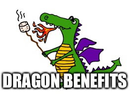 DRAGON BENEFITS | image tagged in memes,dragon | made w/ Imgflip meme maker