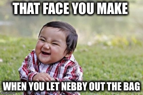 Evil Toddler | THAT FACE YOU MAKE; WHEN YOU LET NEBBY OUT THE BAG | image tagged in memes,evil toddler | made w/ Imgflip meme maker