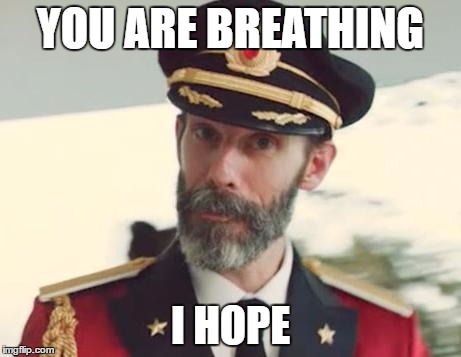 Captain Obvious | YOU ARE BREATHING; I HOPE | image tagged in captain obvious | made w/ Imgflip meme maker