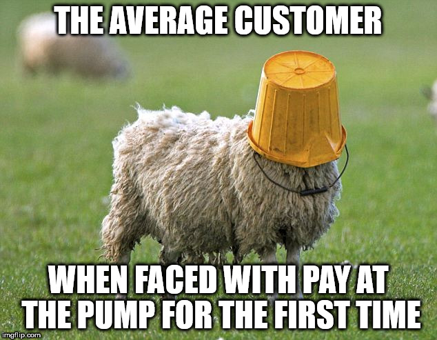 stupid sheep | THE AVERAGE CUSTOMER; WHEN FACED WITH PAY AT THE PUMP FOR THE FIRST TIME | image tagged in stupid sheep | made w/ Imgflip meme maker
