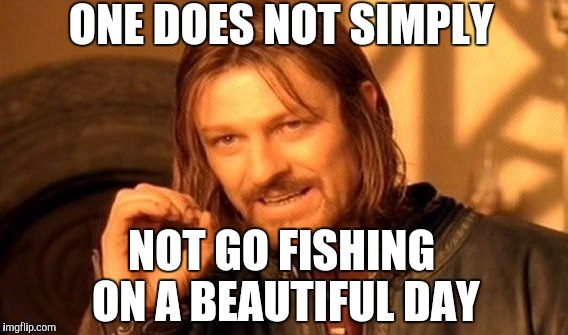 These beautiful spring days are killing me when I have to work late and can't go fishing  | ONE DOES NOT SIMPLY; NOT GO FISHING ON A BEAUTIFUL DAY | image tagged in memes,one does not simply,fishing | made w/ Imgflip meme maker