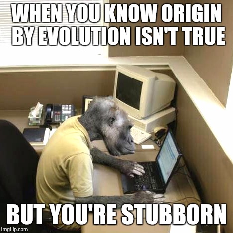 Monkey Business Meme | WHEN YOU KNOW ORIGIN BY EVOLUTION ISN'T TRUE; BUT YOU'RE STUBBORN | image tagged in memes,monkey business | made w/ Imgflip meme maker