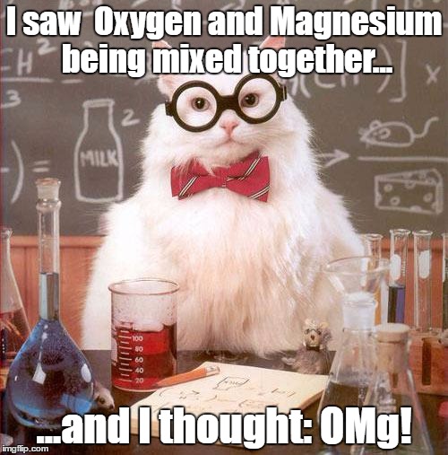 Science Cat | I saw 
Oxygen and Magnesium being mixed together... ...and I thought: OMg! | image tagged in science cat | made w/ Imgflip meme maker