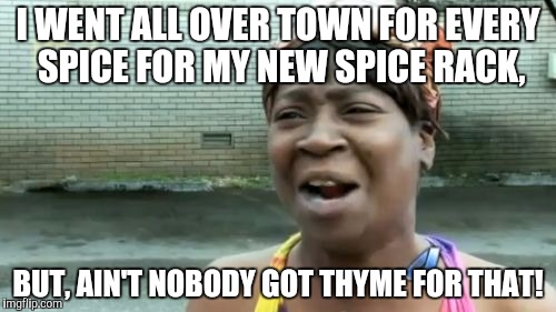 Ain't Nobody Got Time For That | I WENT ALL OVER TOWN FOR EVERY SPICE FOR MY NEW SPICE RACK, BUT, AIN'T NOBODY GOT THYME FOR THAT! | image tagged in memes,aint nobody got time for that | made w/ Imgflip meme maker