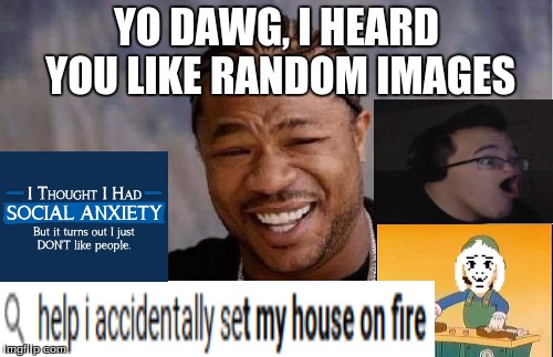 I Tetris'd all these images in place |  YO DAWG, I HEARD YOU LIKE RANDOM IMAGES | image tagged in memes,yo dawg heard you,markiplier derp face,luigi,google search | made w/ Imgflip meme maker