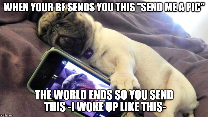 Pugs | WHEN YOUR BF SENDS YOU THIS "SEND ME A PIC"; THE WORLD ENDS SO YOU SEND THIS -I WOKE UP LIKE THIS- | image tagged in pugs | made w/ Imgflip meme maker