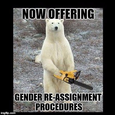 Gender Bending Bear | NOW OFFERING; GENDER RE-ASSIGNMENT PROCEDURES | image tagged in chainsaw bear,transgender,lgbtq,lol so funny,breaking news,polar bear | made w/ Imgflip meme maker