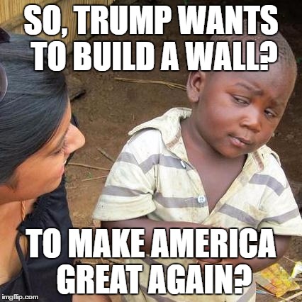 Third World Skeptical Kid Meme | SO, TRUMP WANTS TO BUILD A WALL? TO MAKE AMERICA GREAT AGAIN? | image tagged in memes,third world skeptical kid | made w/ Imgflip meme maker