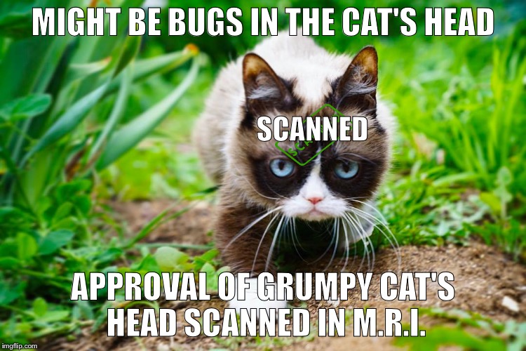 Grumpy Cat in a Jungle! | MIGHT BE BUGS IN THE CAT'S HEAD; SCANNED; APPROVAL OF GRUMPY CAT'S HEAD SCANNED IN M.R.I. | image tagged in grumpy cat in a jungle | made w/ Imgflip meme maker
