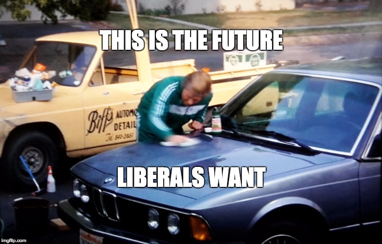 THIS IS THE FUTURE; LIBERALS WANT | image tagged in back to the future,biff tannen,trump | made w/ Imgflip meme maker