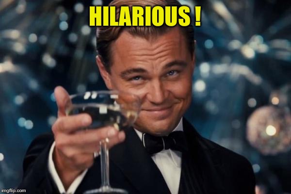 Leonardo Dicaprio Cheers Meme | HILARIOUS ! | image tagged in memes,leonardo dicaprio cheers | made w/ Imgflip meme maker