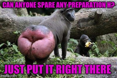 Monkey Ass | CAN ANYONE SPARE ANY PREPARATION H? JUST PUT IT RIGHT THERE | image tagged in monkey ass | made w/ Imgflip meme maker