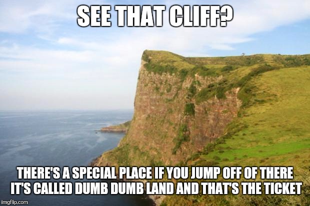 cliff | SEE THAT CLIFF? THERE'S A SPECIAL PLACE IF YOU JUMP OFF OF THERE IT'S CALLED DUMB DUMB LAND AND THAT'S THE TICKET | image tagged in cliff | made w/ Imgflip meme maker