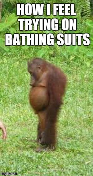 Sad monkey | HOW I FEEL TRYING ON BATHING SUITS | image tagged in sad monkey | made w/ Imgflip meme maker