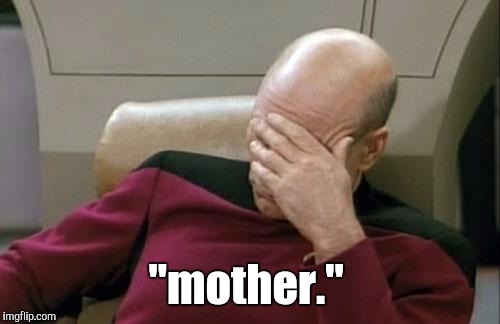 Captain Picard Facepalm Meme | "mother." | image tagged in memes,captain picard facepalm | made w/ Imgflip meme maker