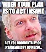 hamlet | WHEN YOUR PLAN IS TO ACT INSANE; BUT YOU ACCIDENTALLY GO INSANE AMIDST DOING SO... | image tagged in hamlet | made w/ Imgflip meme maker