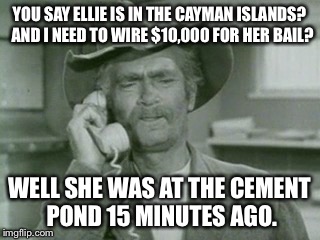 Con Artists v Jed Klampitt | YOU SAY ELLIE IS IN THE CAYMAN ISLANDS?  AND I NEED TO WIRE $10,000 FOR HER BAIL? WELL SHE WAS AT THE CEMENT POND 15 MINUTES AGO. | image tagged in memes,jed clampett,con artist,ellie mae,wire money | made w/ Imgflip meme maker