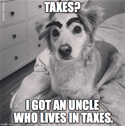 Scooty Marx | TAXES? I GOT AN UNCLE WHO LIVES IN TAXES. | image tagged in groucho marx,funny dogs,funny dog memes,dogs | made w/ Imgflip meme maker