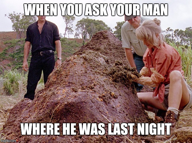 Load of BS | WHEN YOU ASK YOUR MAN; WHERE HE WAS LAST NIGHT | image tagged in jurassic park shit | made w/ Imgflip meme maker