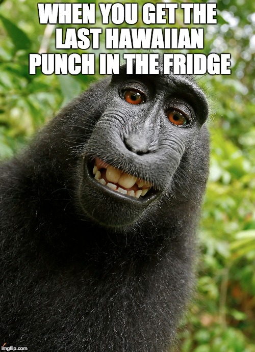 WHEN YOU GET THE LAST HAWAIIAN PUNCH IN THE FRIDGE | made w/ Imgflip meme maker