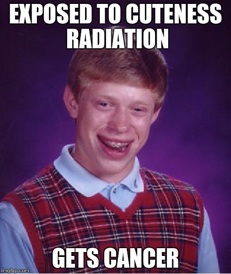 Bad Luck Brian Meme | EXPOSED TO CUTENESS RADIATION GETS CANCER | image tagged in memes,bad luck brian | made w/ Imgflip meme maker