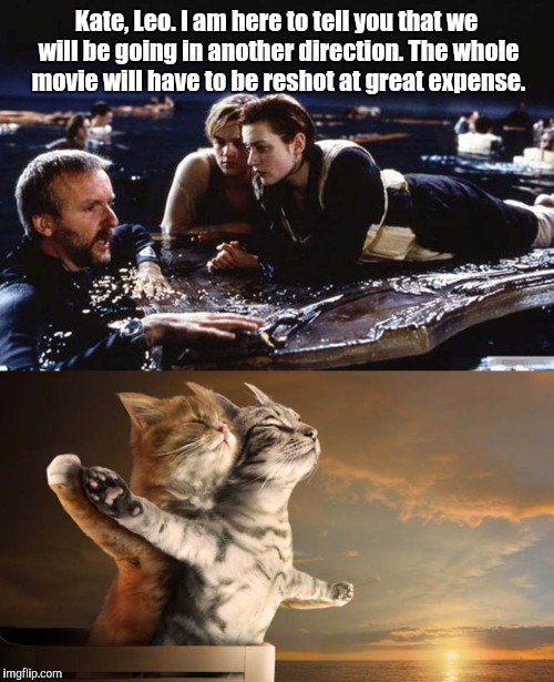 Image tagged in memes,cat,cats,funny,titanic - Imgflip