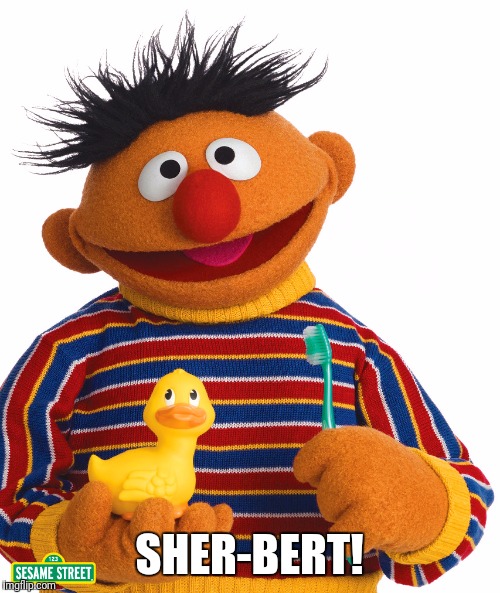 SHER-BERT! | image tagged in ernie troll | made w/ Imgflip meme maker