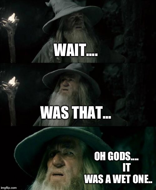 Confused Gandalf | WAIT.... WAS THAT... OH GODS....
          IT WAS A WET ONE.. | image tagged in memes,confused gandalf | made w/ Imgflip meme maker