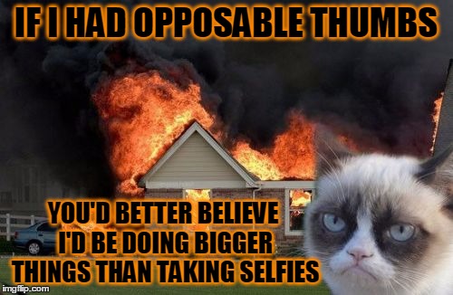 IF I HAD OPPOSABLE THUMBS YOU'D BETTER BELIEVE I'D BE DOING BIGGER THINGS THAN TAKING SELFIES | made w/ Imgflip meme maker