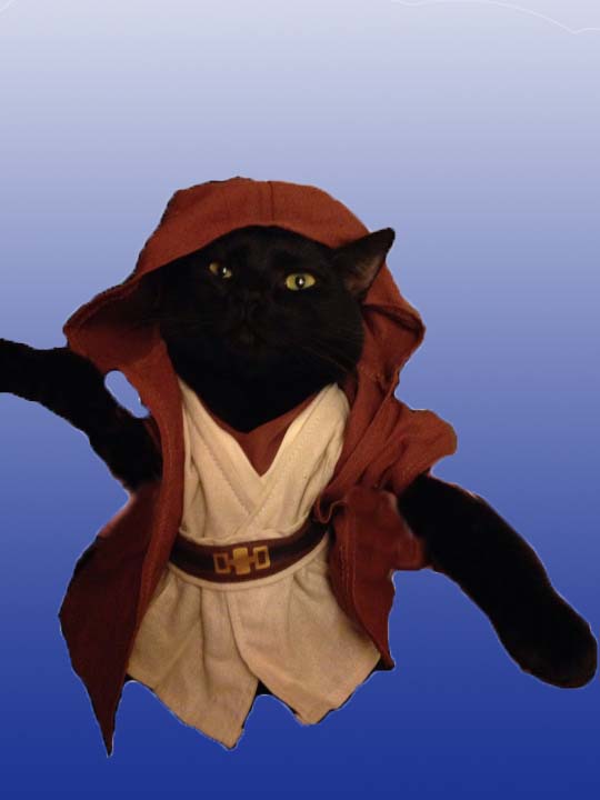 Jedi Cat Blank Meme Template
