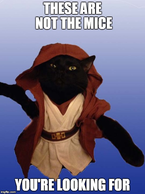 Jedi Cat | THESE ARE NOT THE MICE; YOU'RE LOOKING FOR | image tagged in jedi cat | made w/ Imgflip meme maker