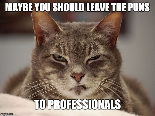 MAYBE YOU SHOULD LEAVE THE PUNS TO PROFESSIONALS | made w/ Imgflip meme maker