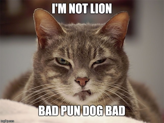 I'M NOT LION BAD PUN DOG BAD | made w/ Imgflip meme maker
