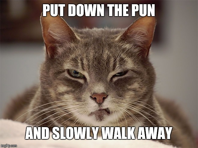 PUT DOWN THE PUN AND SLOWLY WALK AWAY | made w/ Imgflip meme maker