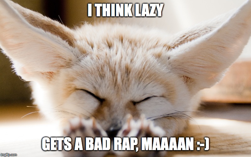 After A Long Day, Laziness is a Virtue :-) | I THINK LAZY; GETS A BAD RAP, MAAAAN :-) | image tagged in fennec | made w/ Imgflip meme maker