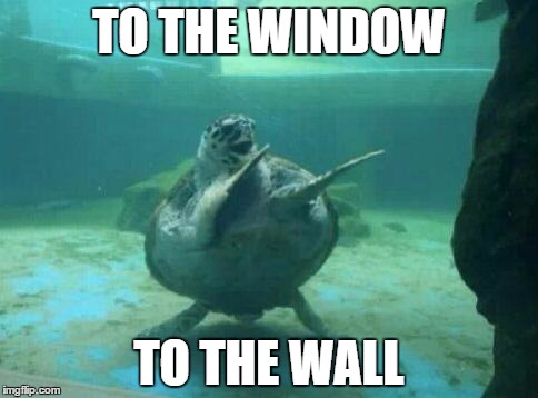 WhAt ThE.. | TO THE WINDOW; TO THE WALL | image tagged in memes,funny,lmao,lol,featured,happy | made w/ Imgflip meme maker